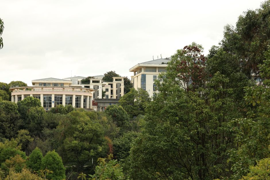 留学申请咨询场景